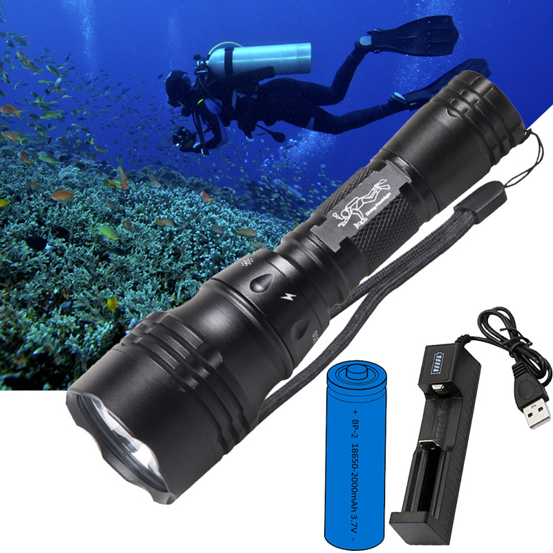 Fish Finder Charger - Lampu Selam Portabel 10W T6 L2
